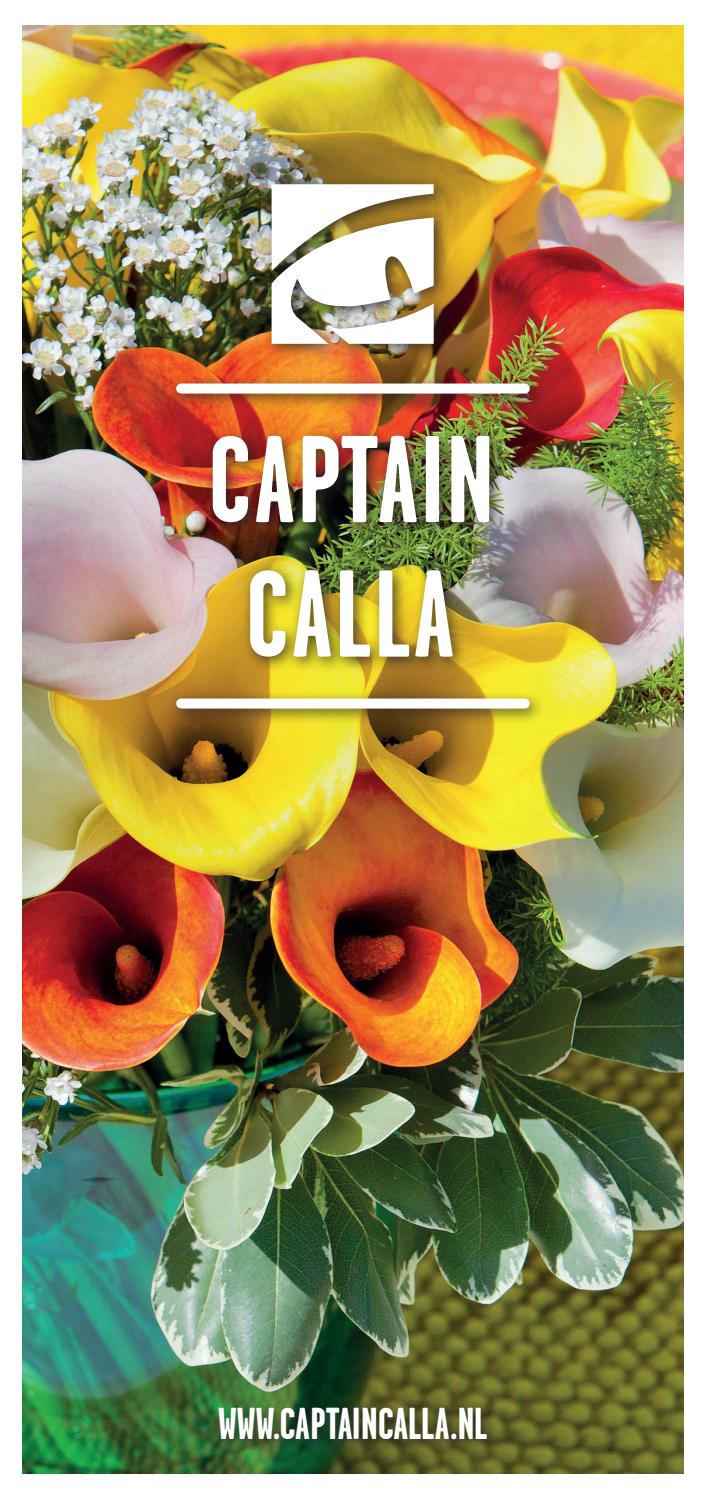 Captain Calla catalog by Kapiteyn Group Issuu