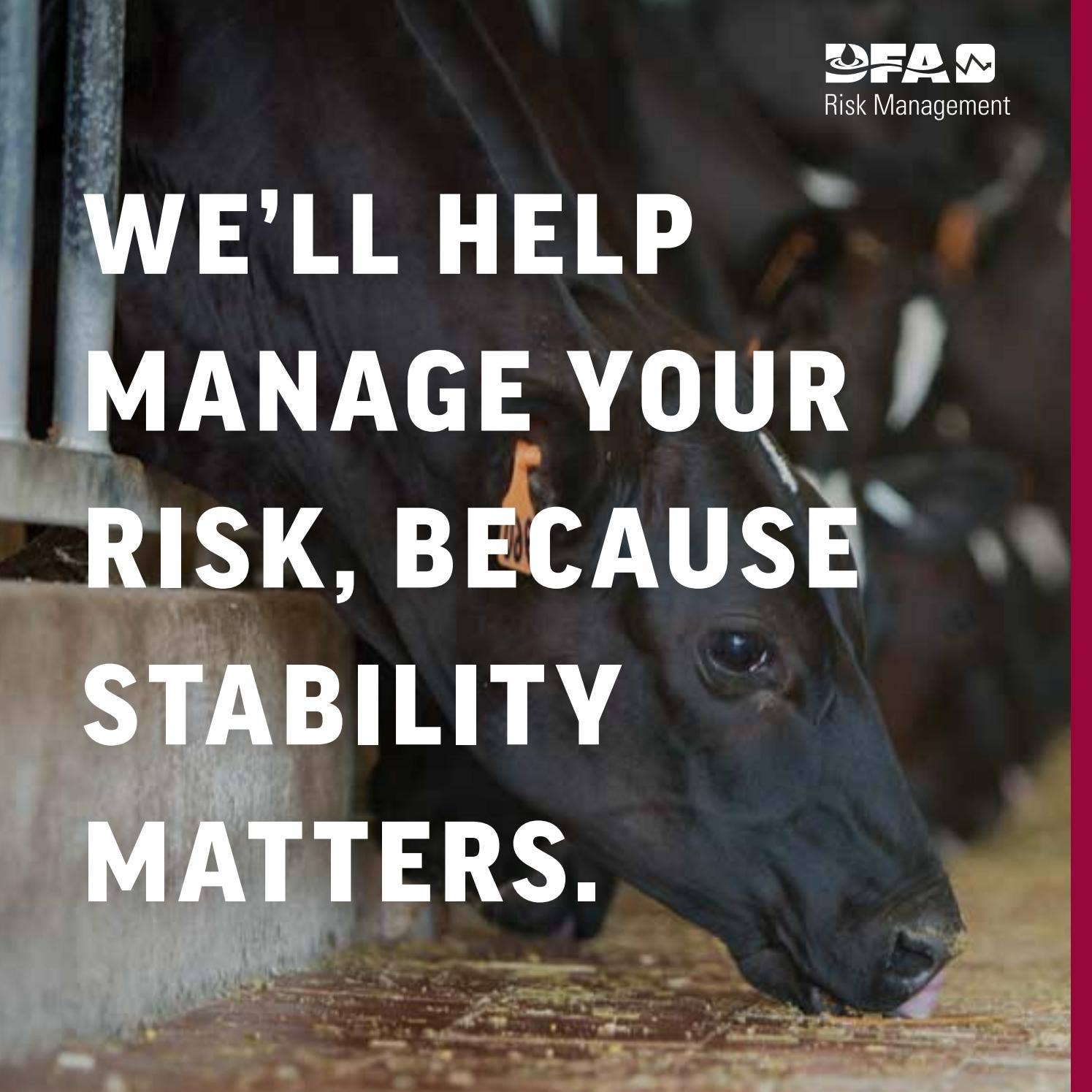 DFA Risk Management Brochure by Dairy Farmers of America - Issuu