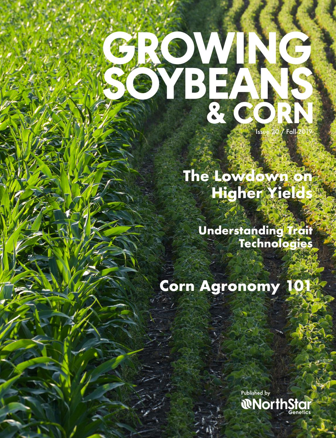 Growing Soybeans & Corn Fall 2019 by Thoughtwell Creative Issuu