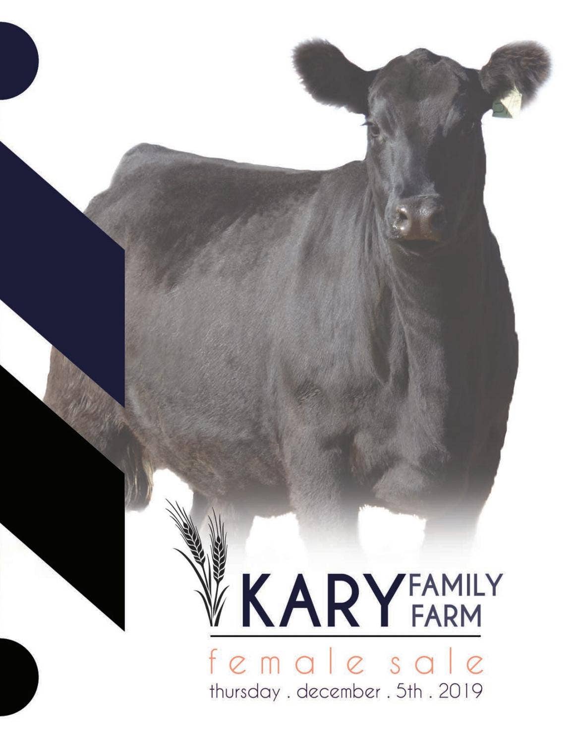 Kay R Cattle Kary Family Farm by Castlerock Marketing - Issuu