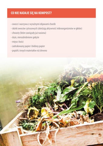 Broszura Koronowo v.3 第 7 页