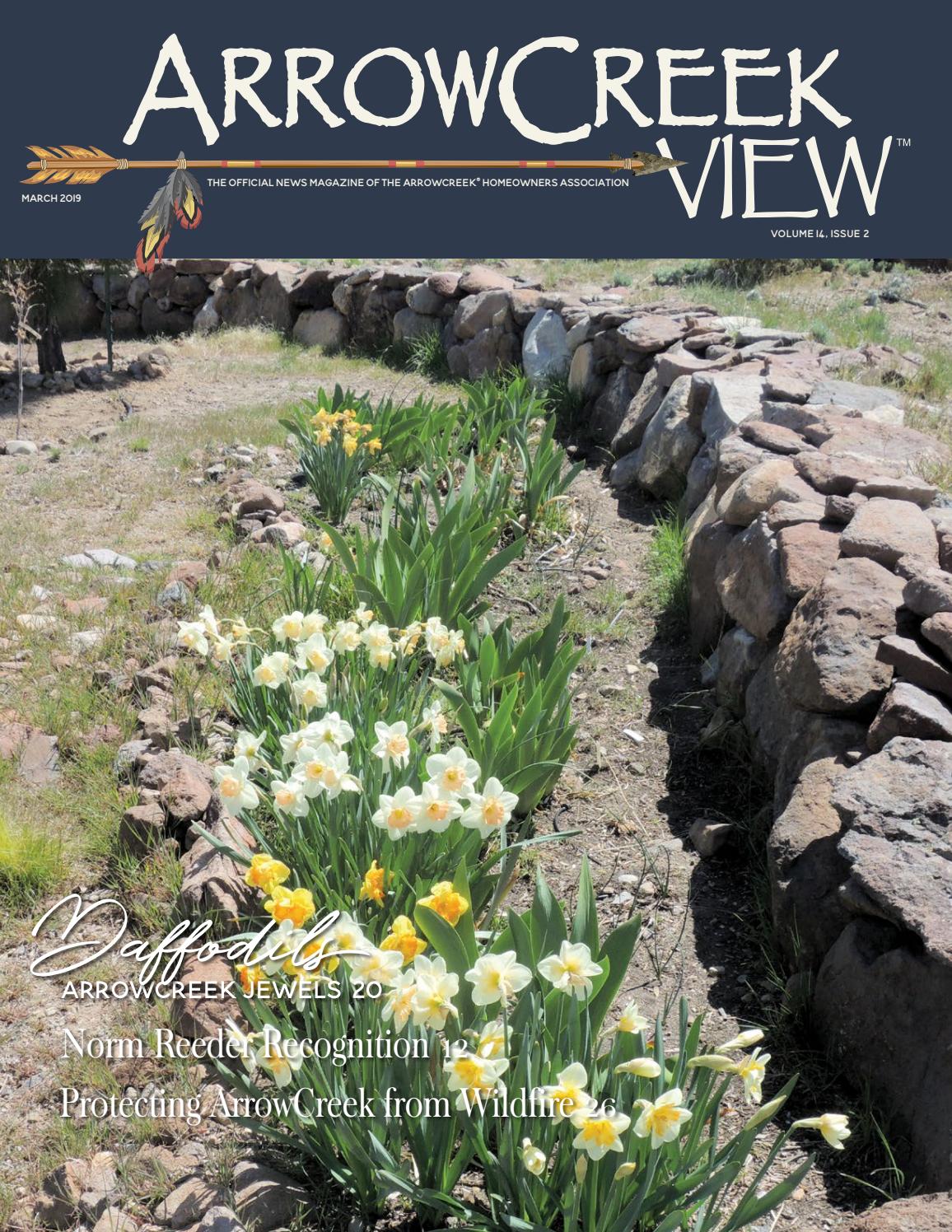 ArrowCreek View March 2019 by CCMedia Issuu