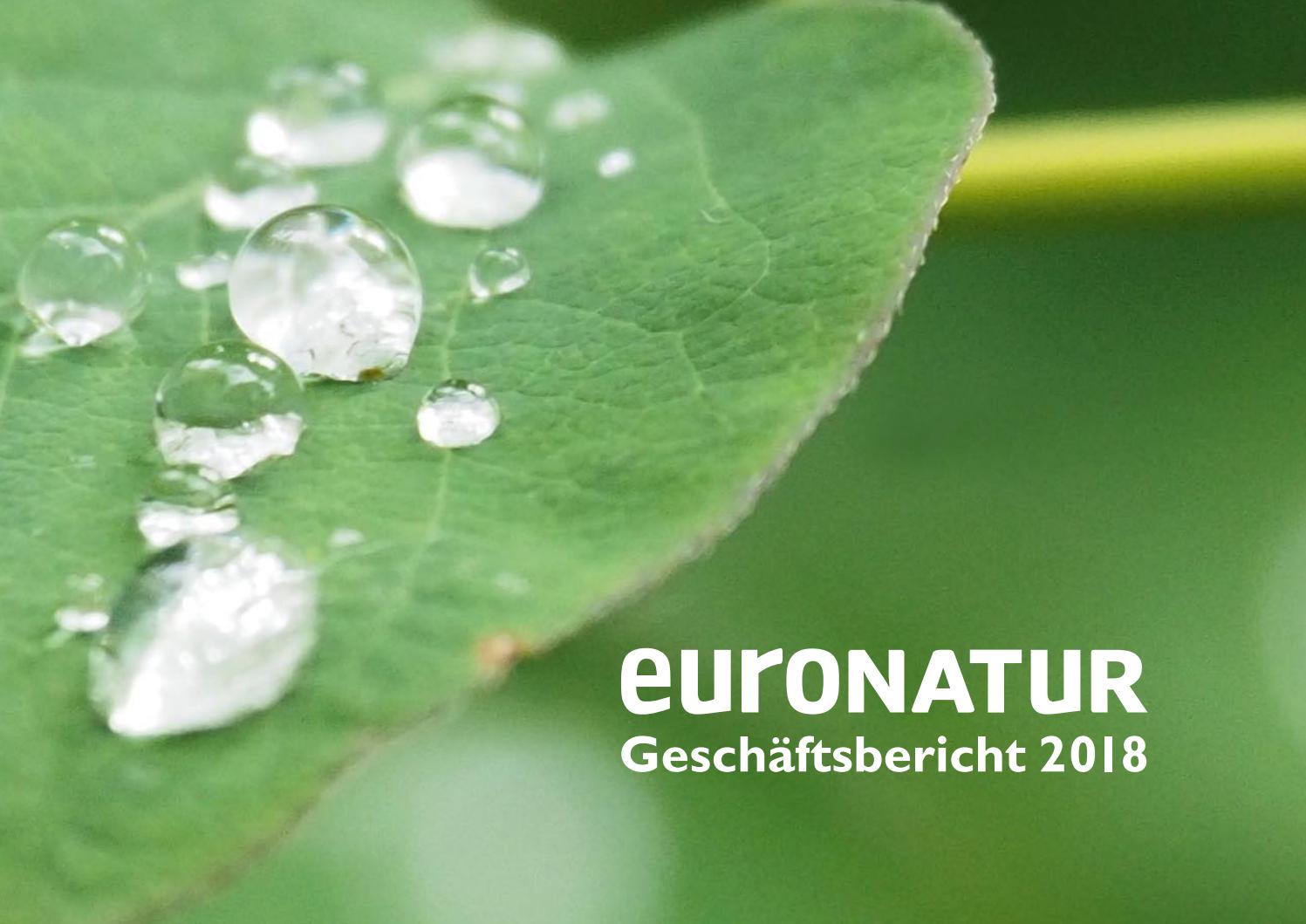 Geschaftsbericht 2018 Euronatur Stiftung By Euronatur Issuu