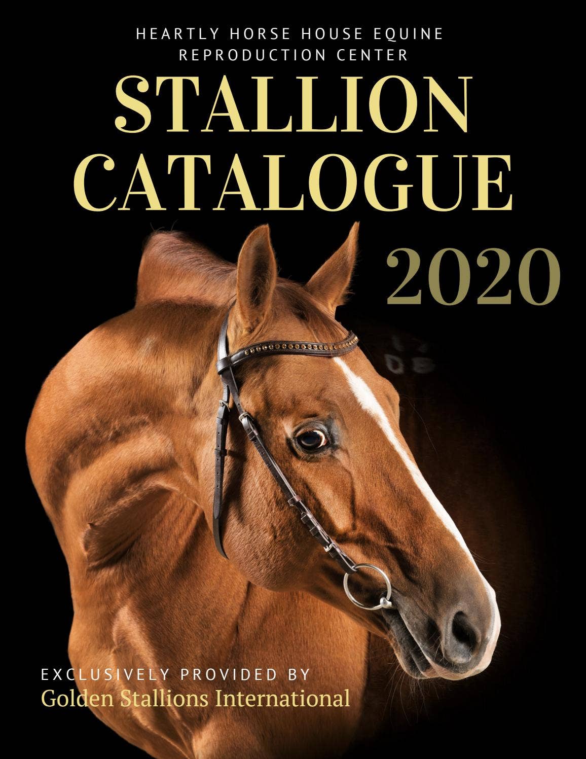Stallion Pdf Stallion Catalogue 2020 by BudennyHorse - Issuu