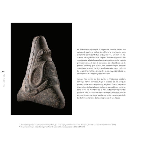 Page 232