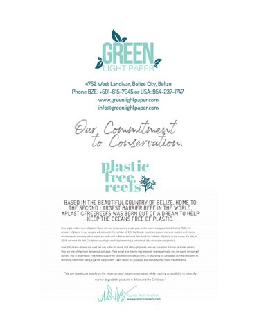Green 灯饰 Paper 2020 目录 - 100% Marine Degradable Paper Straws 第 12 页
