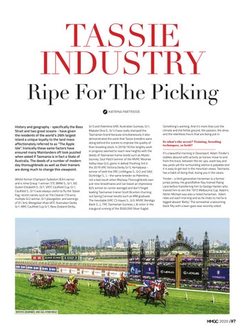 2020 Magic Millions Magazine By Magic Millions Issuu