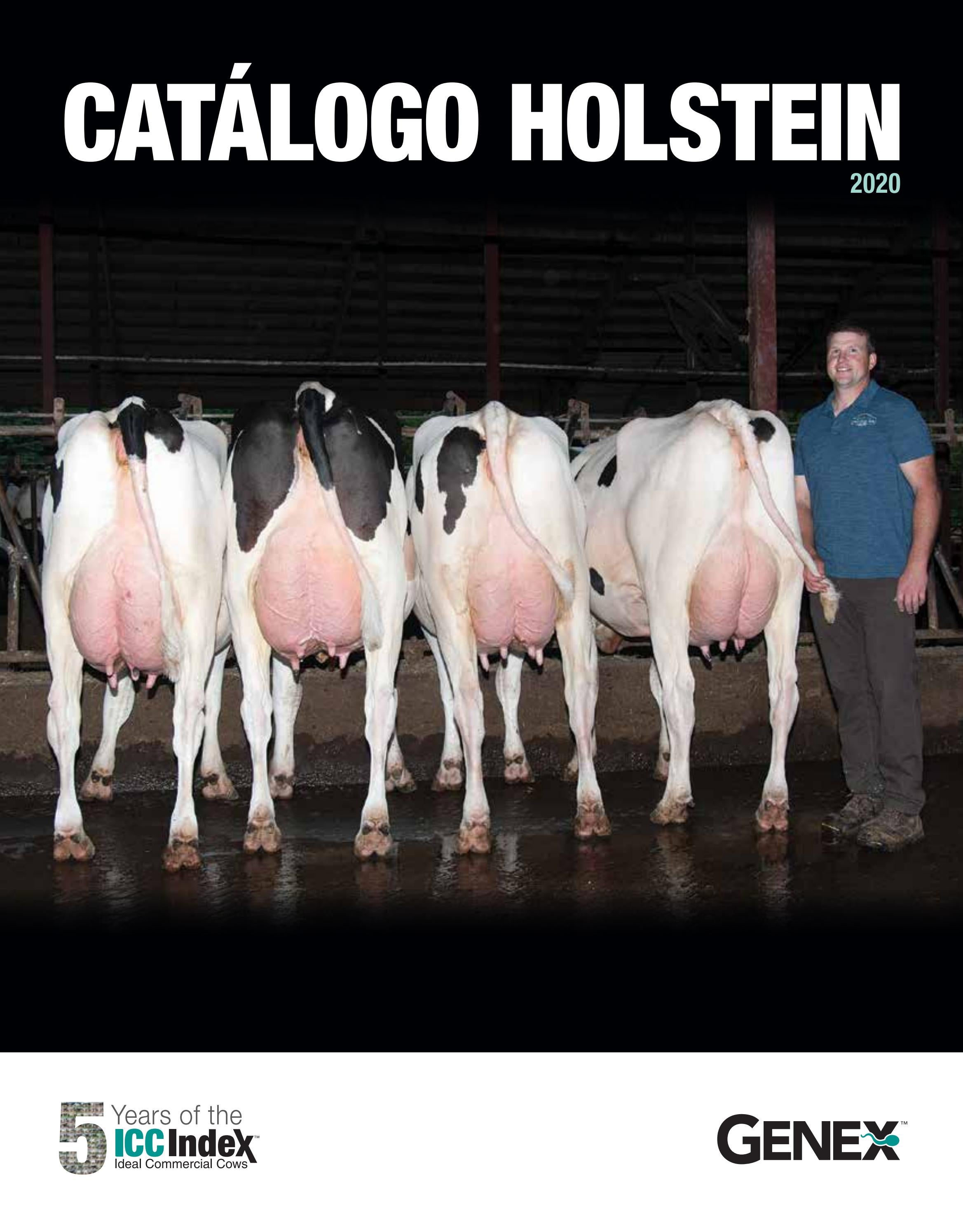 2020 Cat logo Holstein By GENEX Issuu