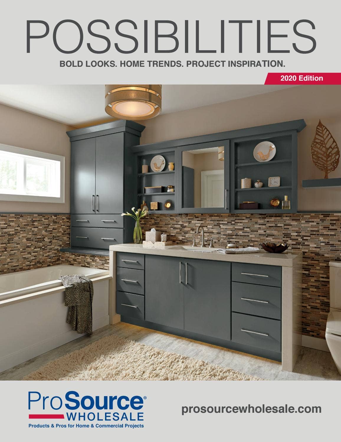 ProSource Wholesale Possibilities Home Improvement Catalog (2020) by