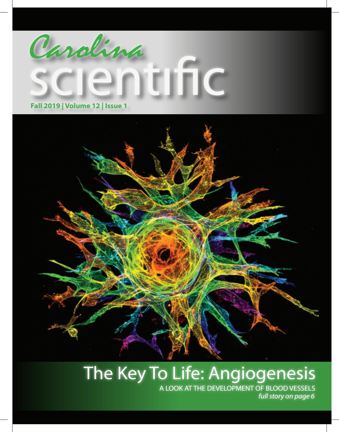 Fall 2019 The Key To Life Angiogenesis by Carolina Scientific Issuu