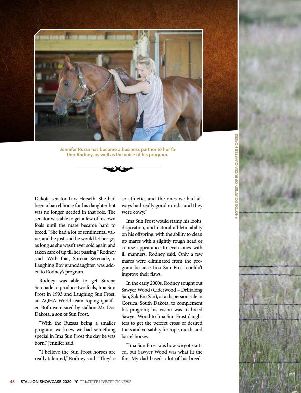2020 Stallion Showcase & Black Hills Stock Show Horse Sale Catalog by