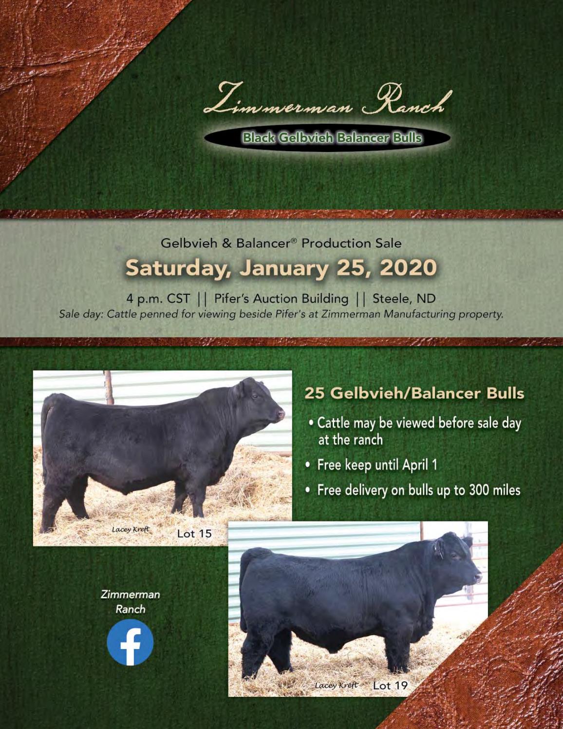 Zimmerman Ranch Gelbvieh & Balancer Production Sale by American