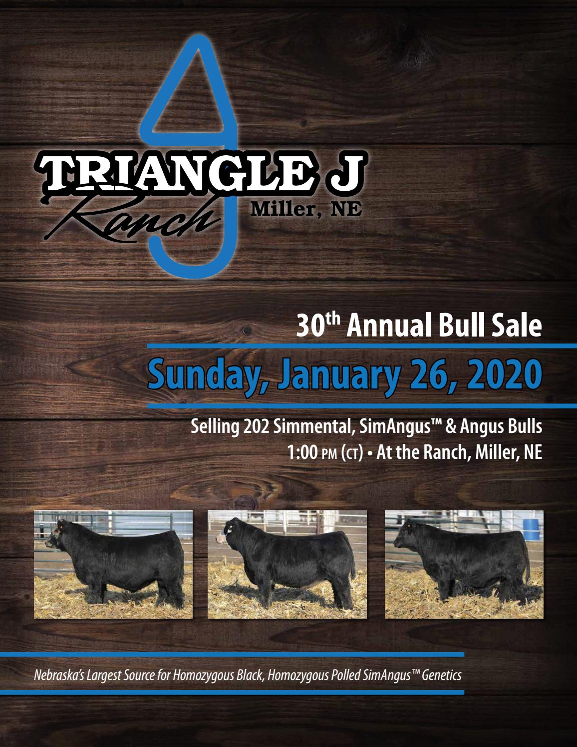 2020 Triangle J Ranch Bull Sale by Julie Murnin Issuu