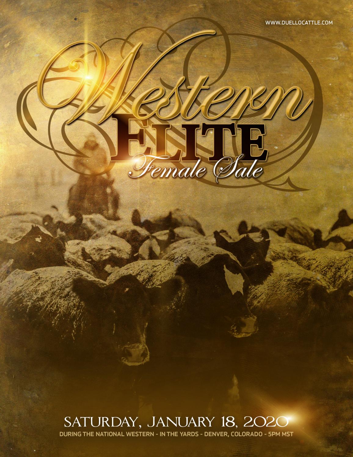 2020 Western Elite Female Sale by The Showtimes Magazine Issuu
