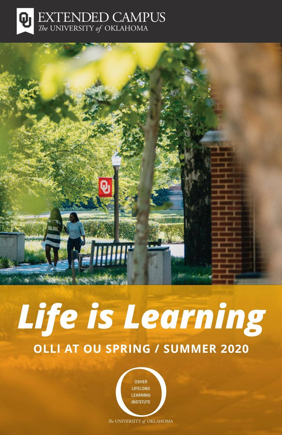 OLLI Spring/Summer 2020 Course Catalog by OU Online Issuu