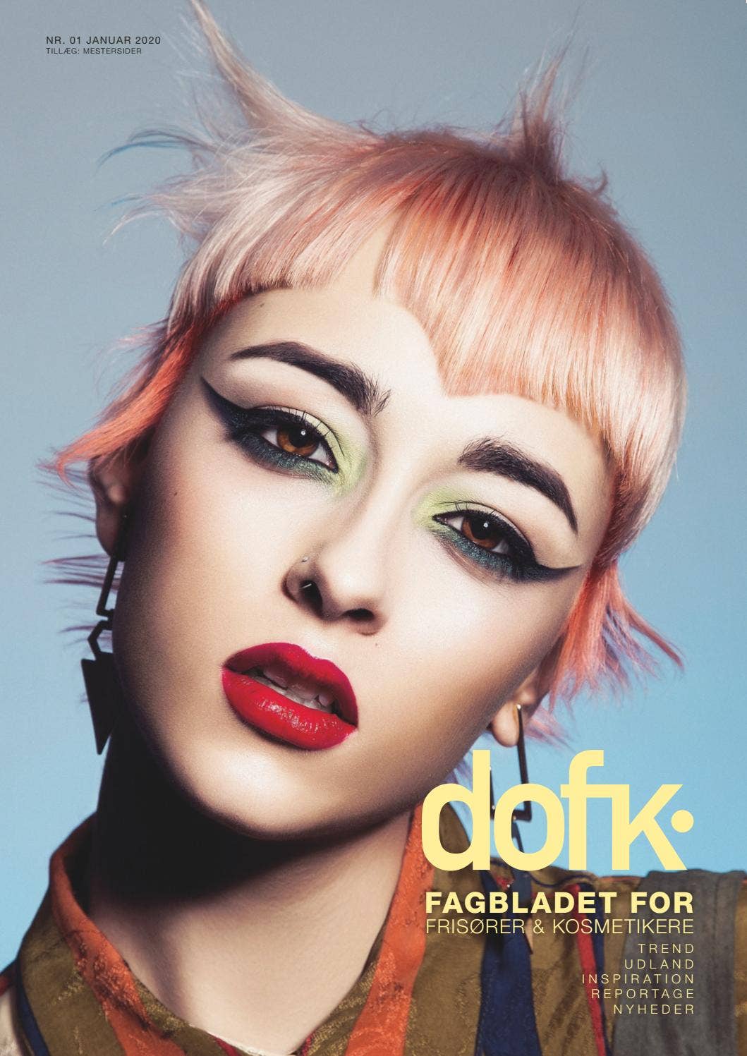 dofk januar 2020 by Reprohuset - Issuu