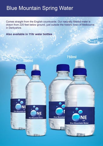 Blue Mountain Water - Onefruit Group 灯饰目录 2020 第 4 页