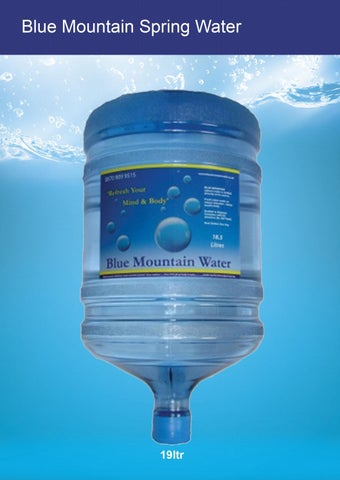 Blue Mountain Water - Onefruit Group 灯饰目录 2020 第 5 页