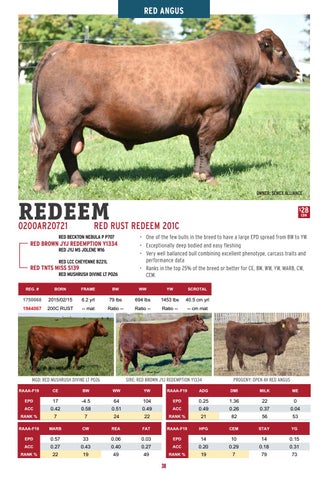 Semex Beef - 2020 Management Handbook by Semex - Issuu