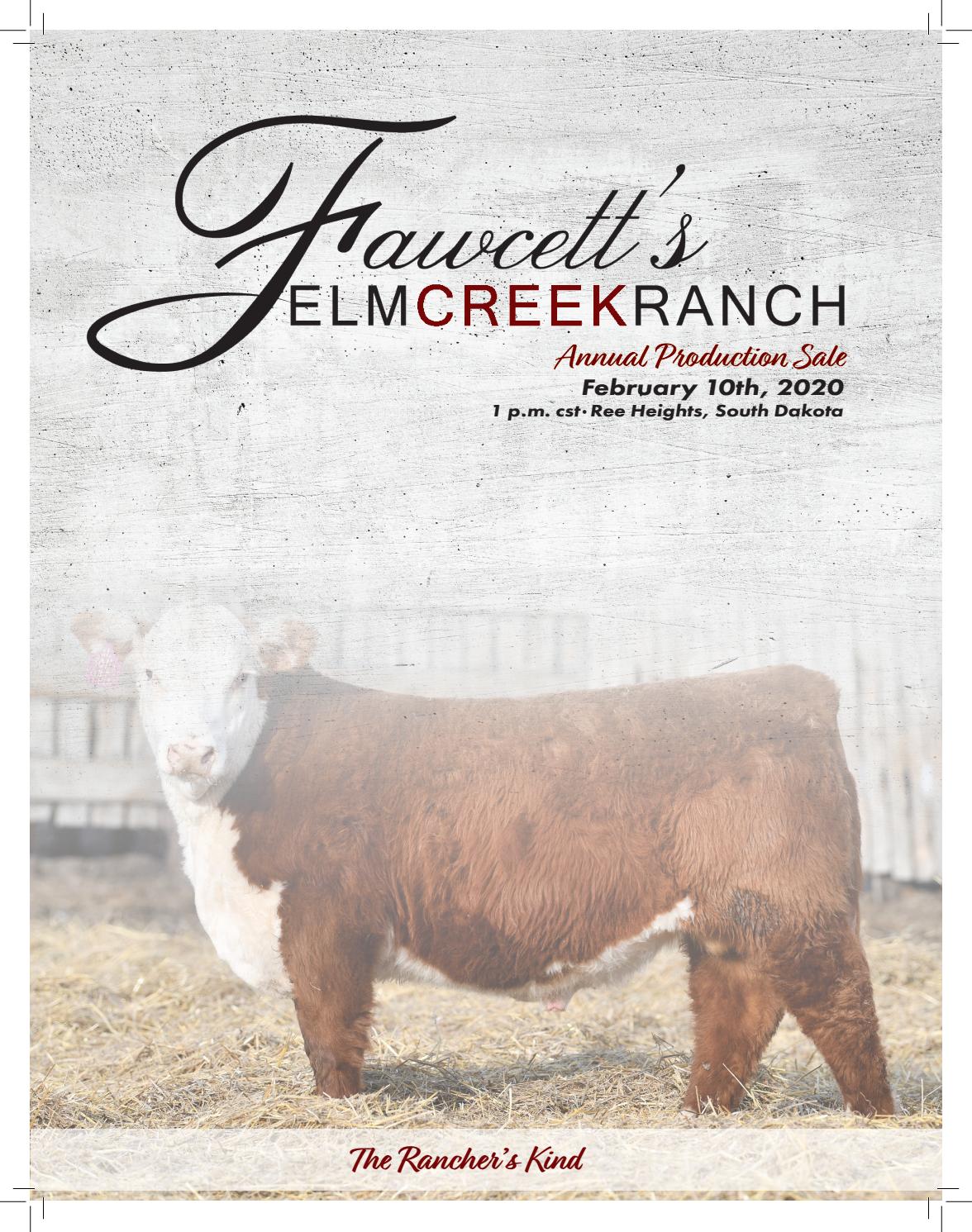 new balance 860 kinderen bruin