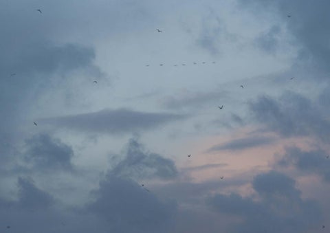 Birds 家具产品集 2020 第 12 页