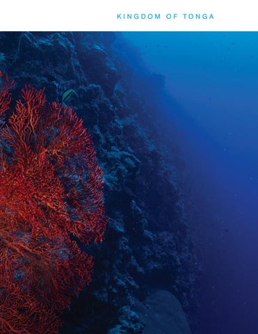 Global Reef Expedition: Kingdom of Tonga Final Report by Khaled bin ...