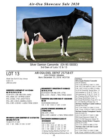 Air-Osa Showcase Sale 2020 by Taylor Made Designs - Issuu