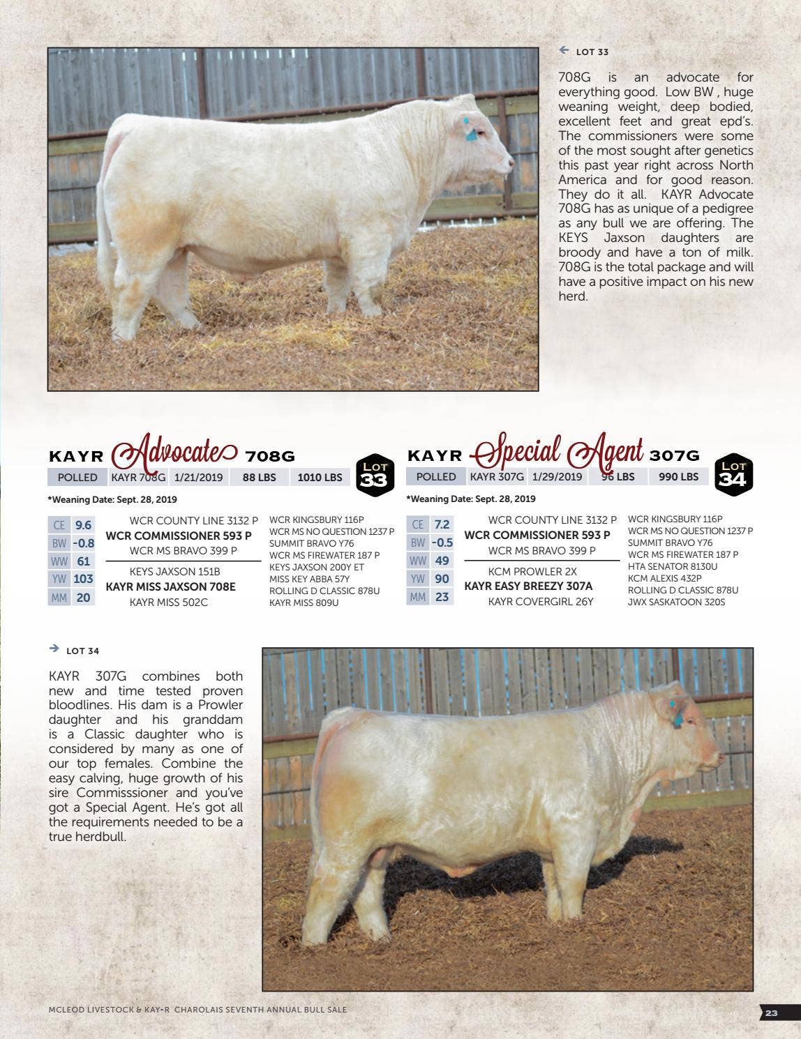 Kay R Cattle McLeod Livestock & Kay-R Charolais 7th Annual Bull Sale by Bohrson ...