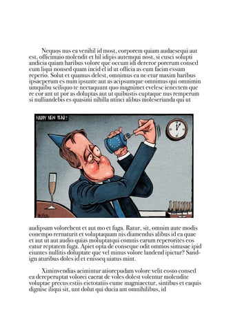 Brexit 第 13 页
