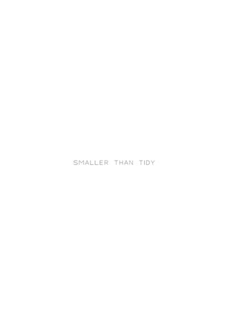 Smaller Than Tidy 第 3 页