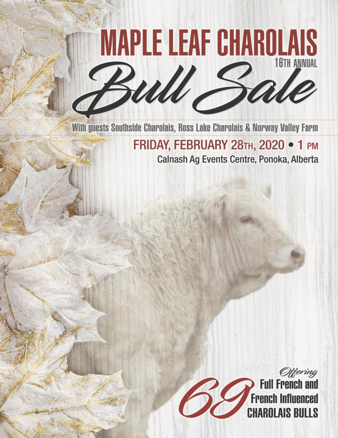 Maple Leaf 2020 Catalogue by Charolais Banner Issuu