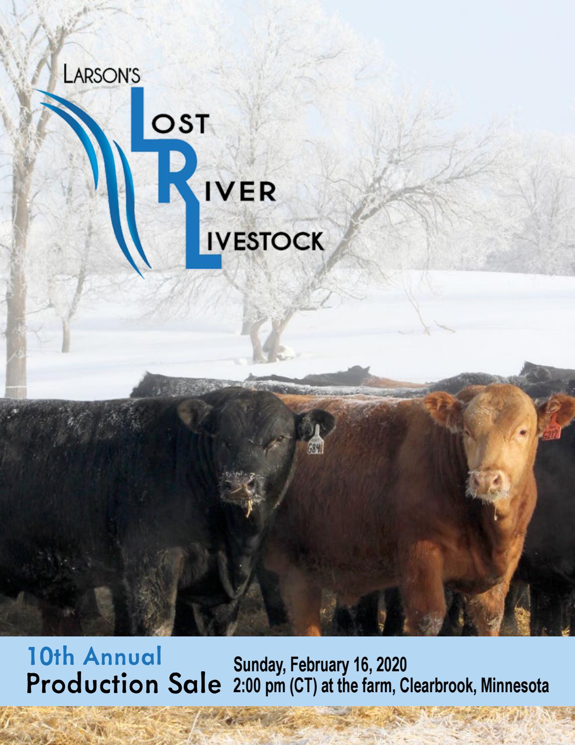 Lost River Livestock 10th Annual Production Sale by American Gelbvieh