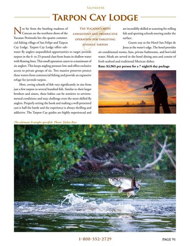 Page 91