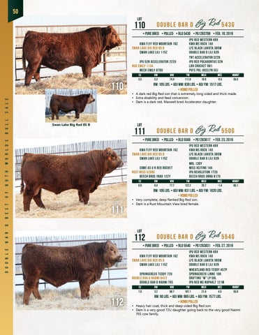 Double Bar D 20th Annual Best of Both Worlds Bull Sale by Today's ...