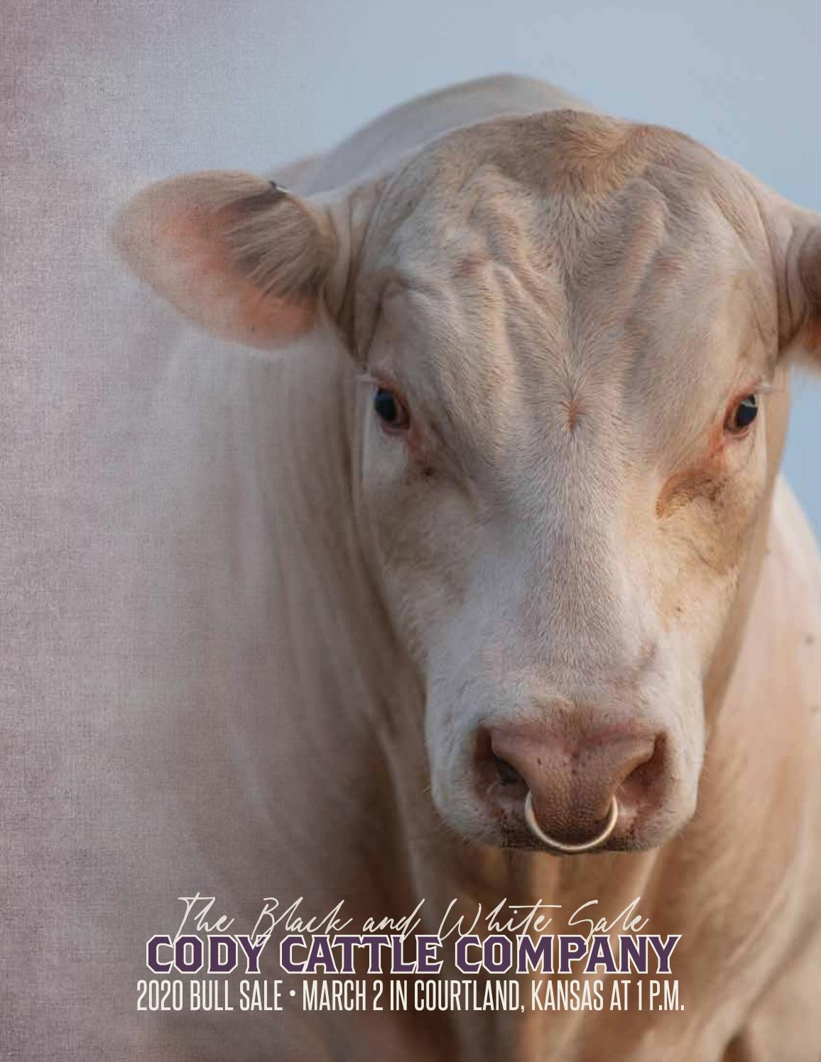 2020 Black and White Sale — Cody Cattle Co. by Cody Cattle Company Issuu
