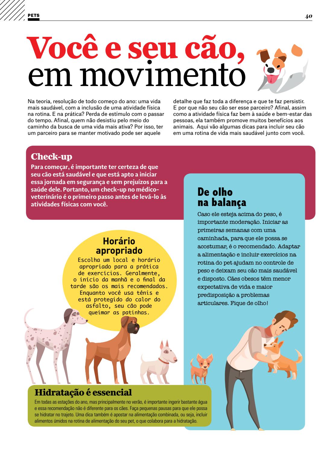 Revista Circuito Edicao 242 Vebuka Com