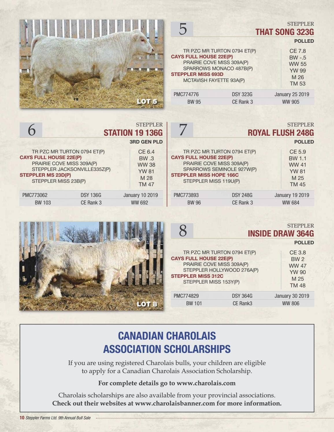 Steppller Steppler Farms Ltd. 2020 Bull Sale by Charolais Banner - Issuu