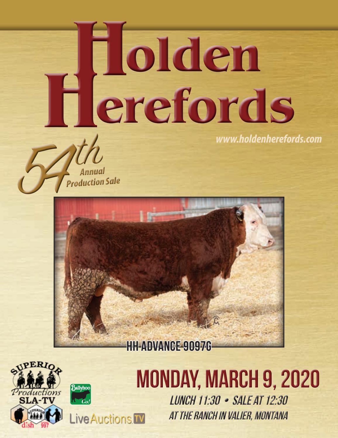 Holden Herefords Annual Production Sale by American Hereford