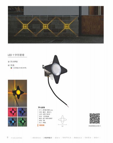 2020 LED 户外照明 光景 [天眼光源TIEN YEN] 第 10 页