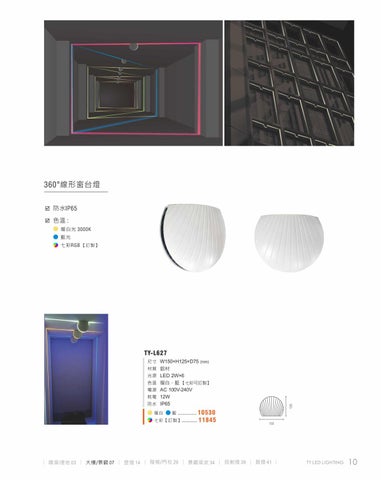 2020 LED 户外照明 光景 [天眼光源TIEN YEN] 第 11 页