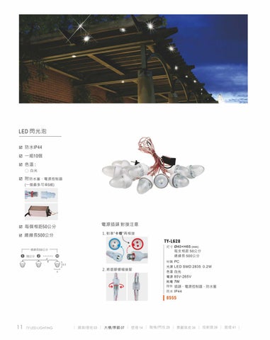 2020 LED 户外照明 光景 [天眼光源TIEN YEN] 第 12 页