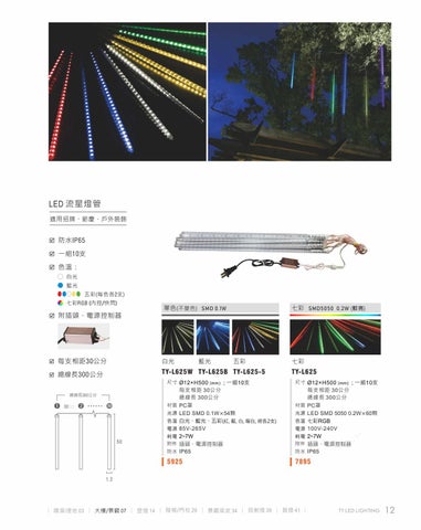 2020 LED 户外照明 光景 [天眼光源TIEN YEN] 第 13 页