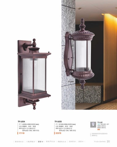 2020 LED 户外照明 光景 [天眼光源TIEN YEN] 第 21 页