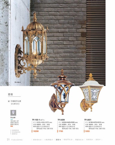 2020 LED 户外照明 光景 [天眼光源TIEN YEN] 第 22 页