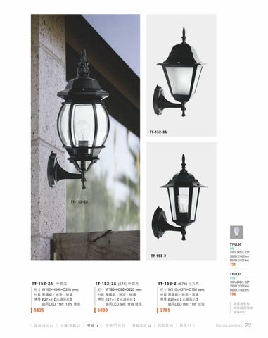2020 LED 户外照明 光景 [天眼光源TIEN YEN] 第 23 页