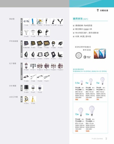2020 LED 户外照明 光景 [天眼光源TIEN YEN] 第 3 页