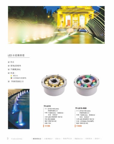 2020 LED 户外照明 光景 [天眼光源TIEN YEN] 第 4 页