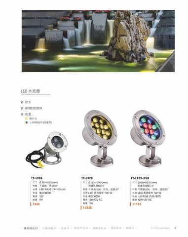 2020 LED 户外照明 光景 [天眼光源TIEN YEN] 第 5 页