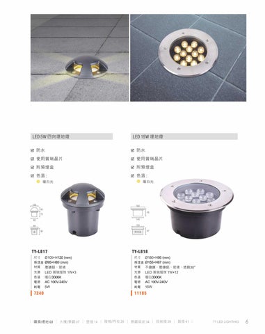 2020 LED 户外照明 光景 [天眼光源TIEN YEN] 第 7 页