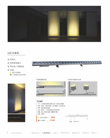 2020 LED 户外照明 光景 [天眼光源TIEN YEN] 第 8 页